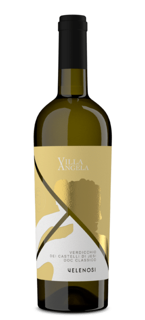 2023-Velenosi DOC Verdicchio dei Castelli di Jesi Classico