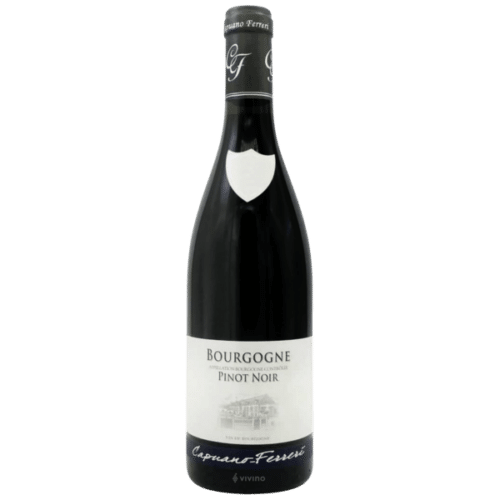 2023-Capuano Ferreri Bourgogne Pinot Noir Rouge