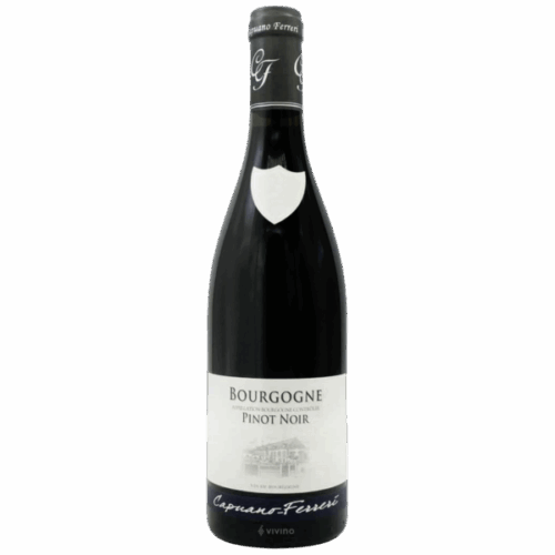 2023-Capuano Ferreri Bourgogne Pinot Noir Rouge