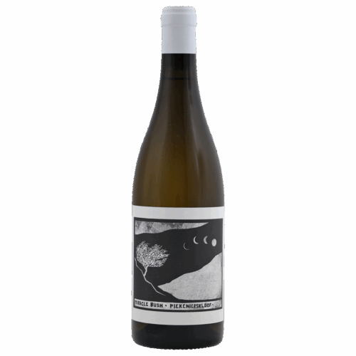 2022-Swartberg Wingerde Miracle Bush White
