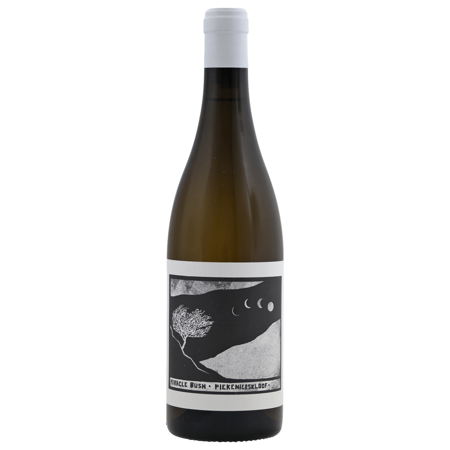 2022-Swartberg Wingerde Miracle Bush White
