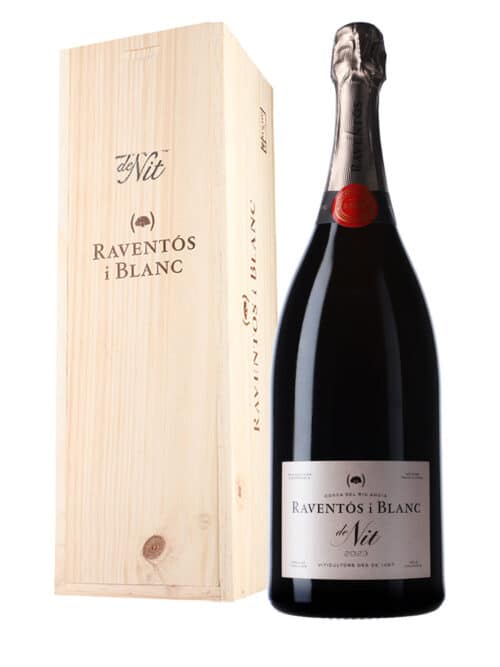 NV-Raventos i Blanc de Nit Espumoso Rosado MAGNUM IN KIST