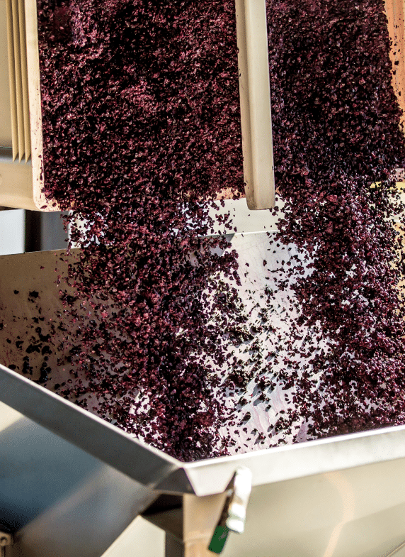 2022-Peri Peri TINUZZO Nerello Mascalese