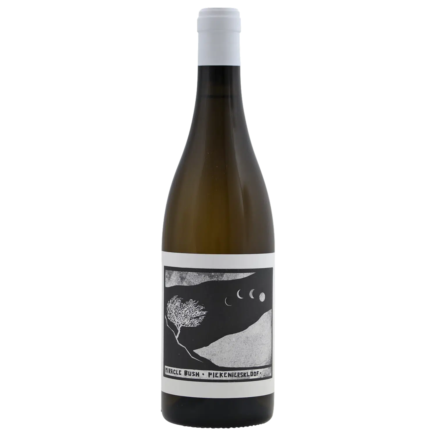 2022-Swartberg Wingerde Miracle Bush White