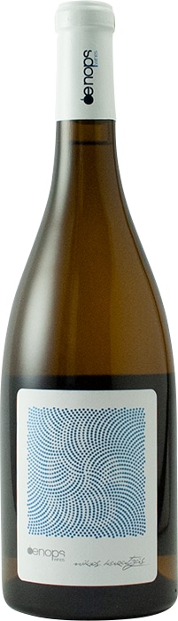 2023 - Oenops Vidiano